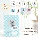 【プレゼント付き】 akashi メモリアルアクリル写真立て ≪ 縦角/大≫ フォトフレーム 写真プリント