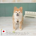 【プレゼント付き】羊毛フェルト うちの子フェルト 【お渡しまで約6ヶ月〜】 日本製 オーダーメイド