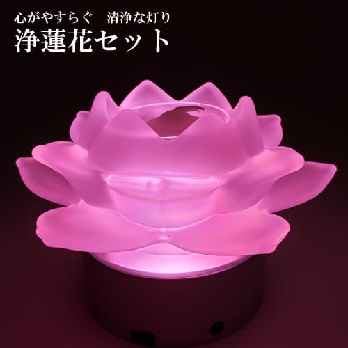 【クーポン配布中！】浄蓮花（じょうれんか） フロストホワイト フロストパープル ろうそく LED 蓮の花 贈答 贈答用 お盆 新盆 初盆 喪中御見舞 喪中のサムネイル