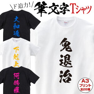 あす楽 おもしろ Tシャツ 漢字 筆文字 三文字 プレゼント ギフト 翌日発送 阿修羅 一張羅 花粉症 下剋上 四天王 序破急 走馬灯 体験版 天地人 天王山 逃走中 肉食系 武士道 大和魂 容疑者 嫁募集 影武者 益荒男 鬼退治 修羅場