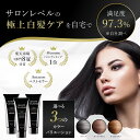 【3/25はポイント5倍】白髪染め カラートリートメント 無添加 3本セット ヘアカラー トリートメント 白髪 白髪染 部分 ヘアマニキュア 生え際 女性用 | 白髪隠し ヘアカラートリートメント 白髪かくし ダークブラウン 白髪用 root vanish カラー 綺和美 ノンシリコン