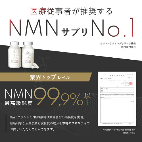 NMN臨床試験