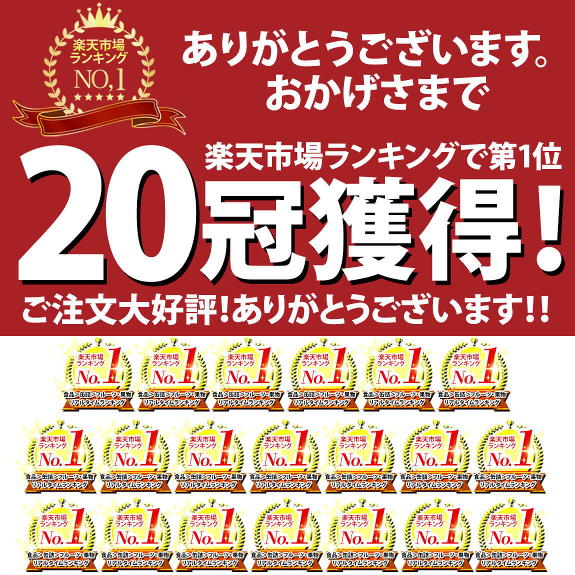 和遊膳　海の幸詰合せ　　B1127-570