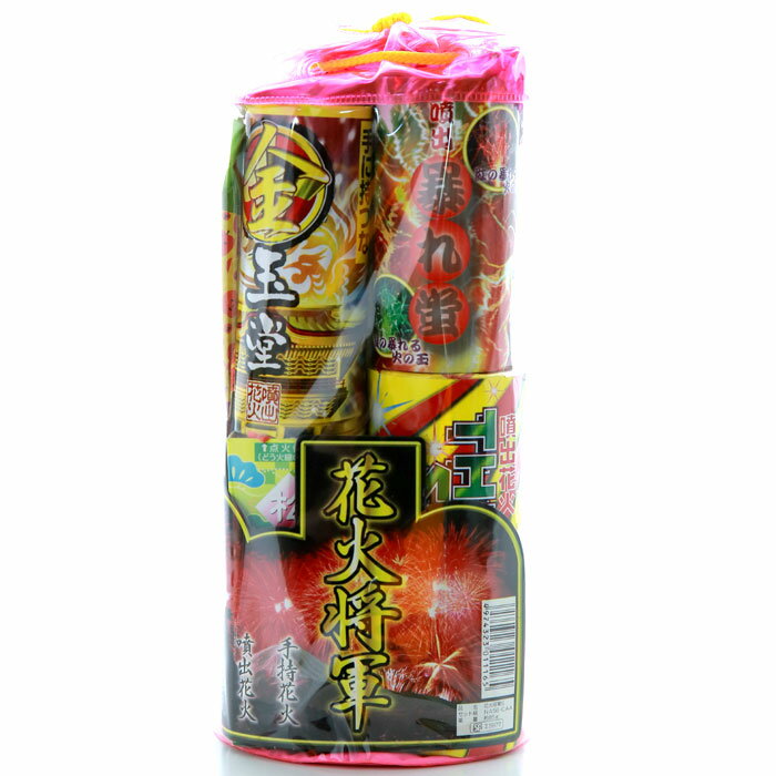 手持ち花火9本 噴出6本 糸吊1個 花火将軍S【関東中部 送料無料！】 おもちゃ プレゼント 誕生日