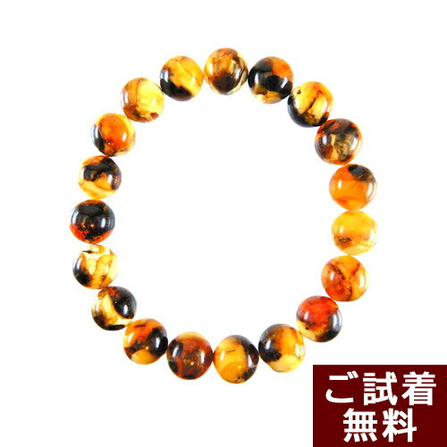 琥珀 ブレスレット 腕輪 虎琥珀 16cm 丸玉 10.1mm　バルト産 送料無料 琥珀屋　ハンドメイド 手作り パワーストーン 天然石 デーのサムネイル