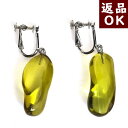 \最大30%OFFクーポン/琥珀 イヤリング 琥珀 ピアス カリビアングリーンアンバー 変形 シルバー カリブ産 一点物 送料無料 琥珀屋 ハンドメイド 手作り パワーストーン 天然石 スクリューバック No 2661 ギフト ギフト