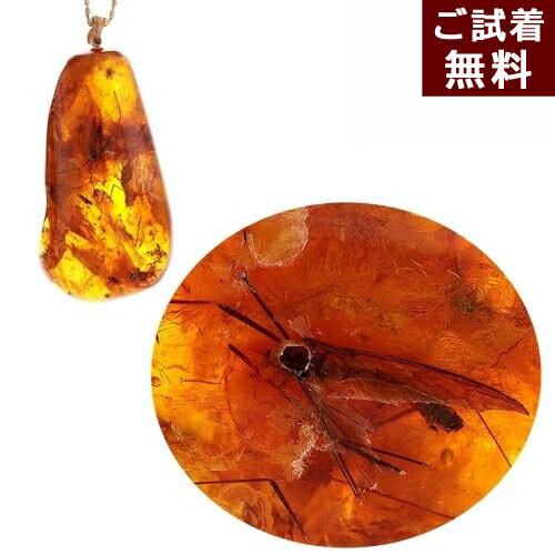 ＼クーポン利用で最大25％OFF／化石 虫入り琥珀 ペンダントトップ ネックレス 蜂 蜘蛛 蠅 ハチ クモ ハエ カトンボ 蚊 チャタテムシ ブユ ブヨ ブト イエローアンバー ドミニカ産 K18 チェーン別売り No 2840 送料無料 琥珀屋 パワーストーン 天然石 未処理石 コハク 母の日