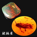 \最大30%OFFクーポン/【動画あり】化石 虫入り琥珀原石 ルース 木の芽 葉っぱ 蜂 蚊 蠅 ブルーアンバーを彷彿 上質レッドアンバー レインボー メキシコ...