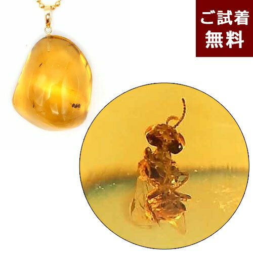化石 虫入り琥珀 ネックレス ペンダントトップ 蠅 チャタテムシ イエローアンバー ハニー 黄色 未処理石 メキシコ産 昆虫 雫型 ティアドロップ ハエ 透明 ...