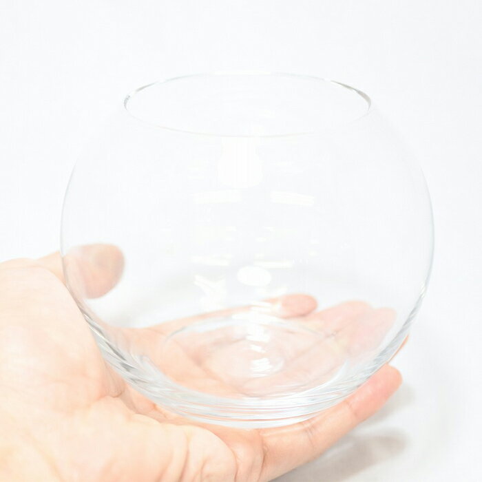 �ڥƥ�ꥦ�� ���饹�ƴ� �����ꥦ�� �� ���� �ݥƥ�ꥦ�� �ݥꥦ�� �������ꥦ�� �������ƥ�ꥦ�� ���� ���տ�ʪ ��� �ϥ��ɥ�������㡼 �����ǥ˥� ���꡼�� ����ƥꥢ �� ���ߺ� ���� moss �鿴�ԡ� �����ꥦ�६�饹�ƴ� �ܡ���2S