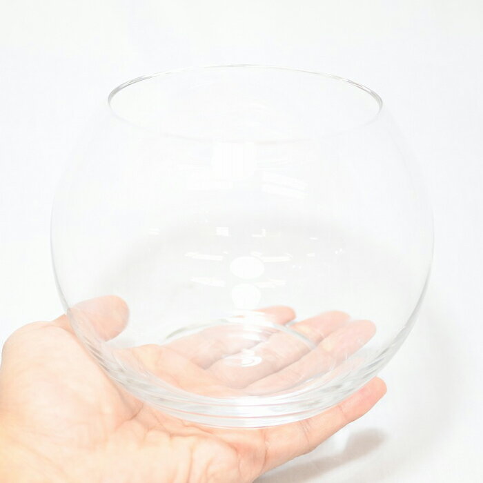 �ڥƥ�ꥦ�� ���饹�ƴ� �����ꥦ�� �� ���� �ݥƥ�ꥦ�� �ݥꥦ�� �������ꥦ�� �������ƥ�ꥦ�� ���� ���տ�ʪ ��� �ϥ��ɥ�������㡼 �����ǥ˥� ���꡼�� ����ƥꥢ �� ���ߺ� ���� moss �鿴�ԡ� �����ꥦ�६�饹�ƴ� �ܡ���S