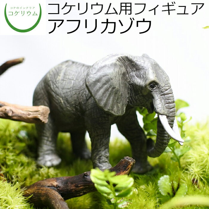 【観葉植物 おしゃれ ミニ テラリウム フィギュア ミニ観葉 コケリウム 苔 コケ 苔テラリウム 苔リウム..