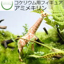 【観葉植物 おしゃれ ミニ テラリウム フィギュア ミニ観葉 コケリウム 苔 コケ 苔テラリウム 苔リウム アクアリウム アクアテラリウム 園芸 ハイドロカルチャー ガーデニング グリーン インテリア 緑 苔盆栽 癒し moss 初心者】 コケリウムフィギュア アミメキリン