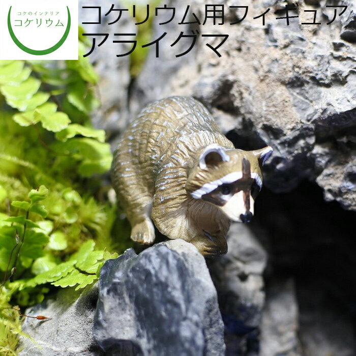 【観葉植物 おしゃれ ミニ テラリウム フィギュア ミニ観葉 コケリウム 苔 コケ 苔テラリウム 苔リウム アクアリウム アクアテラリウム 園芸 ハイドロカルチャー ガーデニング グリーン インテリア 緑 苔盆栽 癒し moss 初心者】 コケリウムフィギュア アライグマ
