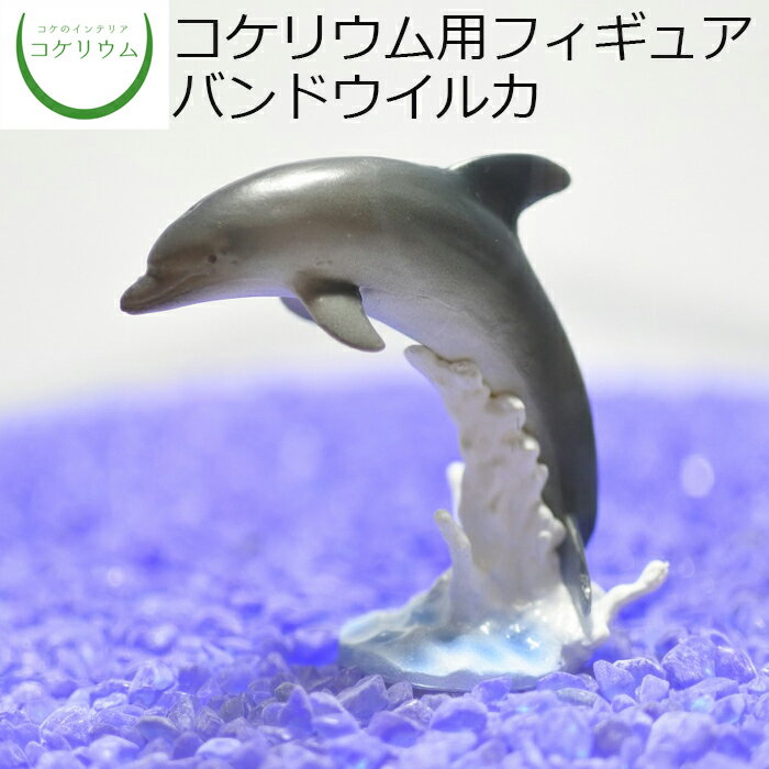 【観葉植物 おしゃれ ミニ テラリウム フィギュア ミニ観葉 コケリウム 苔 コケ 苔テラリウム 苔リウム アクアリウム アクアテラリウム 園芸 ハイドロカルチャー ガーデニング グリーン インテリア 緑 苔盆栽 癒し 初心者】 コケリウムフィギュア バンドウイルカ