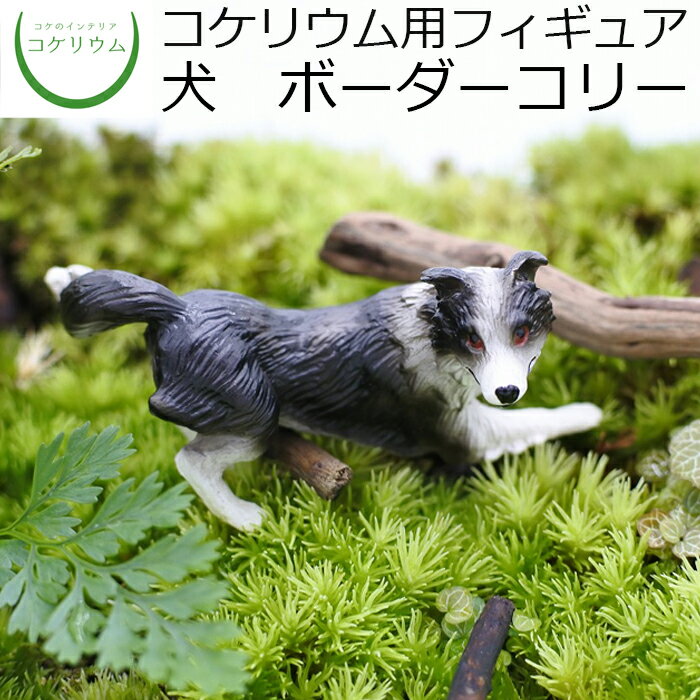 【観葉植物 おしゃれ ミニ テラリウム フィギュア ミニ観葉 コケリウム 苔 コケ 苔テラリウム 苔リウム アクアリウム アクアテラリウム 園芸 ハイドロカルチャー ガーデニング グリーン インテリア 緑 苔盆栽 癒し 初心者】 コケリウムフィギュア 犬 ボーダーコリー