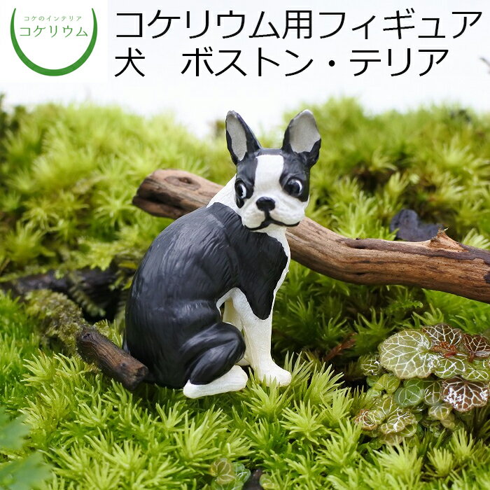 楽天市場】ボストン テリア 置物の通販 楽天市場】ボストン テリア 置物の通販