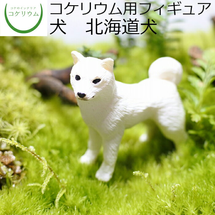 【観葉植物 おしゃれ ミニ テラリウム フィギュア ミニ観葉 コケリウム 苔 コケ 苔テラリウム 苔リウム アクアリウム アクアテラリウム 園芸 ハイドロカルチャー ガーデニング グリーン インテリア 緑 苔盆栽 癒し 初心者】 コケリウムフィギュア 犬 北海道犬