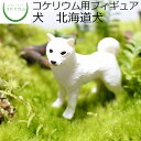  コケリウムフィギュア 犬 北海道犬