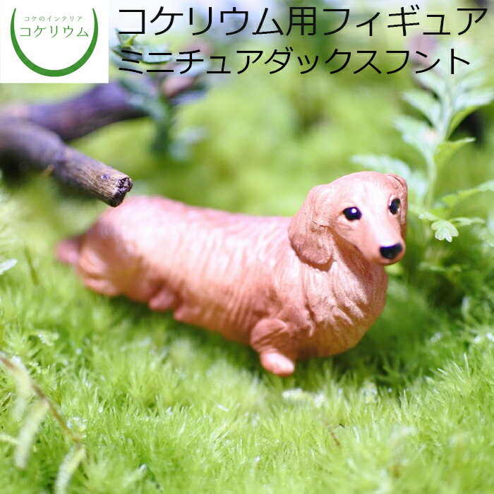 【観葉植物 おしゃれ ミニ テラリウ