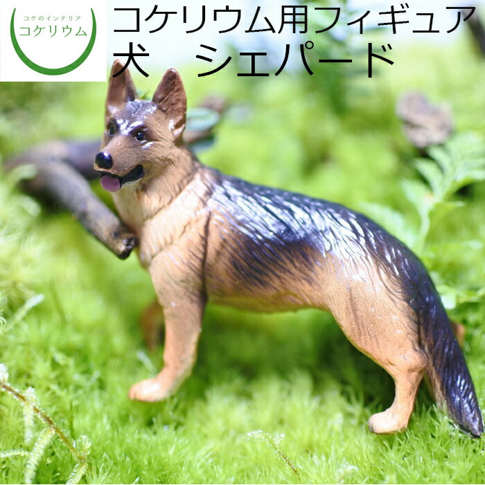 【観葉植物 おしゃれ ミニ テラリウム フィギュア ミニ観葉 コケリウム 苔 コケ 苔テラリウム 苔リウム アクアリウム アクアテラリウム 園芸 ハイドロカルチャー ガーデニング グリーン インテリア 緑 苔盆栽 癒し 初心者】 コケリウムフィギュア 犬 シェパード