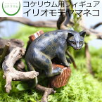 【観葉植物 おしゃれ ミニ テラリウム フィギュア ミニ観葉 コケリウム 苔 コケ 苔テラリウム 苔リウム アクアリウム アクアテラリウム 園芸 ハイドロカルチャー ガーデニング グリーン インテリア 緑 苔盆栽 癒し moss 初心者】 コケリウムフィギュア イリオモテヤマネコ