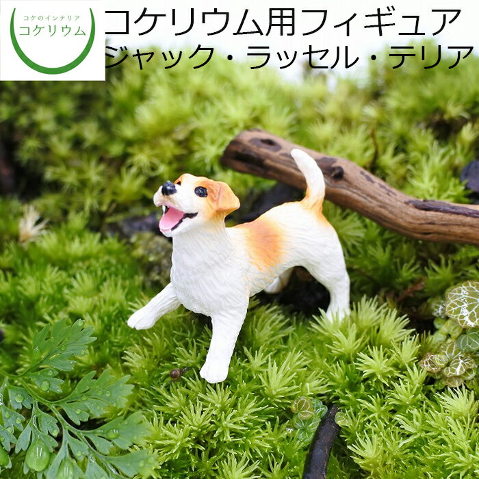 【観葉植物 おしゃれ ミニ テラリウム フィギュア ミニ観葉 コケリウム 苔 コケ 苔テラリウム 苔リウム..