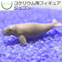  コケリウムフィギュア ジュゴン