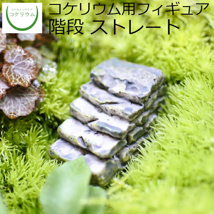 【観葉植物 おしゃれ ミニ テラリウム フィギュア ミニ観葉 コケリウム 苔 コケ 苔テラリウム 苔リウム..