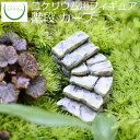 【観葉植物 おしゃれ ミニ テラリウム フィギュア ミニ観葉 コケリウム 苔 コケ 苔テラリウム 苔リウム アクアリウム アクアテラリウム 園芸 ハイドロカルチャー ガーデニング グリーン インテリア 緑 苔盆栽 癒し moss 初心者】 コケリウムフィギュア 階段 カーブ