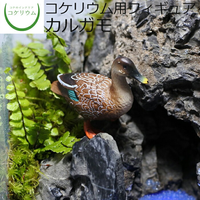 【観葉植物 おしゃれ ミニ テラリウム フィギュア ミニ観葉 コケリウム 苔 コケ 苔テラリウム 苔リウム アクアリウム アクアテラリウム 園芸 ハイドロカルチャー ガーデニング グリーン インテリア 緑 苔盆栽 癒し moss 初心者】 コケリウムフィギュア カルガモ