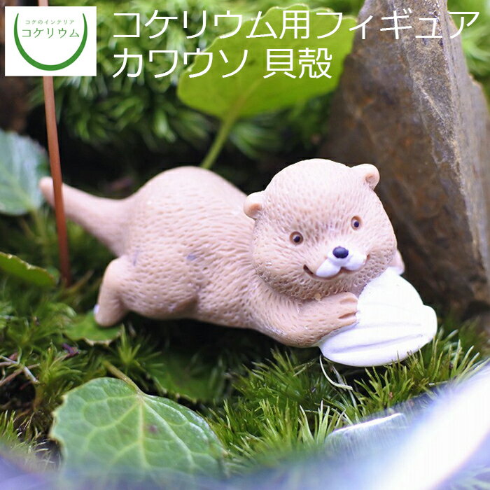 【観葉植物 おしゃれ ミニ テラリウ