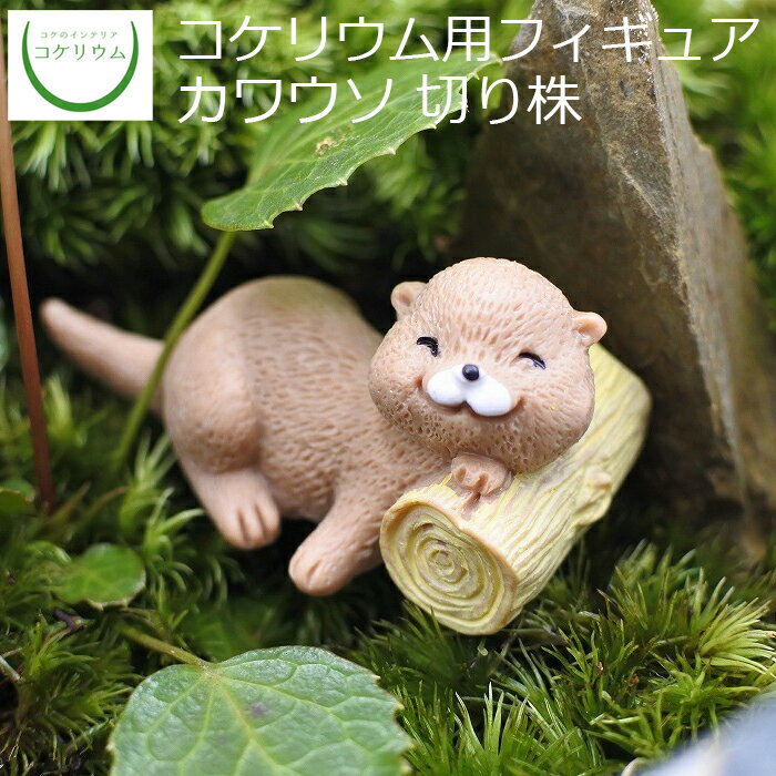 【観葉植物 おしゃれ ミニ テラリウ