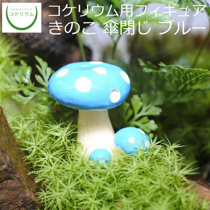 【観葉植物 おしゃれ ミニ テラリウ