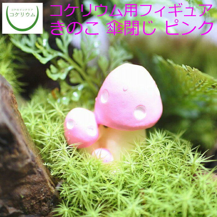 【観葉植物 おしゃれ ミニ テラリウ