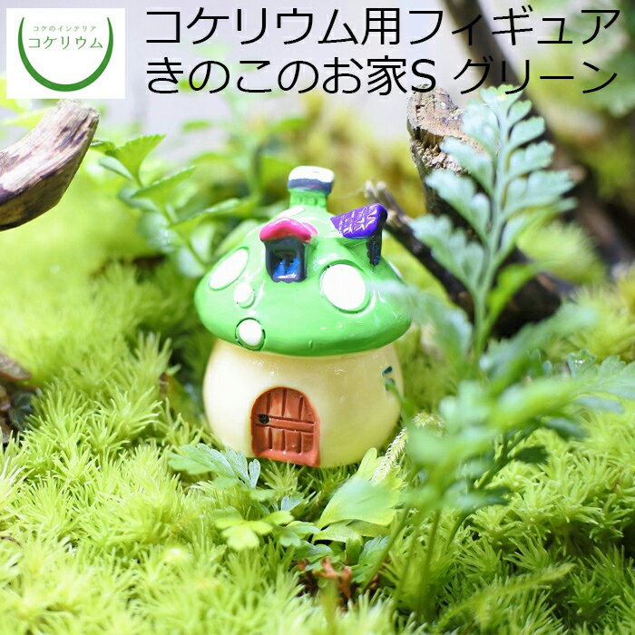 【観葉植物 おしゃれ ミニ テラリウム フィギュア ミニ観葉 コケリウム 苔 コケ 苔テラリウム 苔リウム アクアリウム アクアテラリウム 園芸 ハイドロカルチャー ガーデニング グリーン インテリア 緑 苔盆栽 癒し 初心者】 コケリウムフィギュア きのこのお家S グリーン