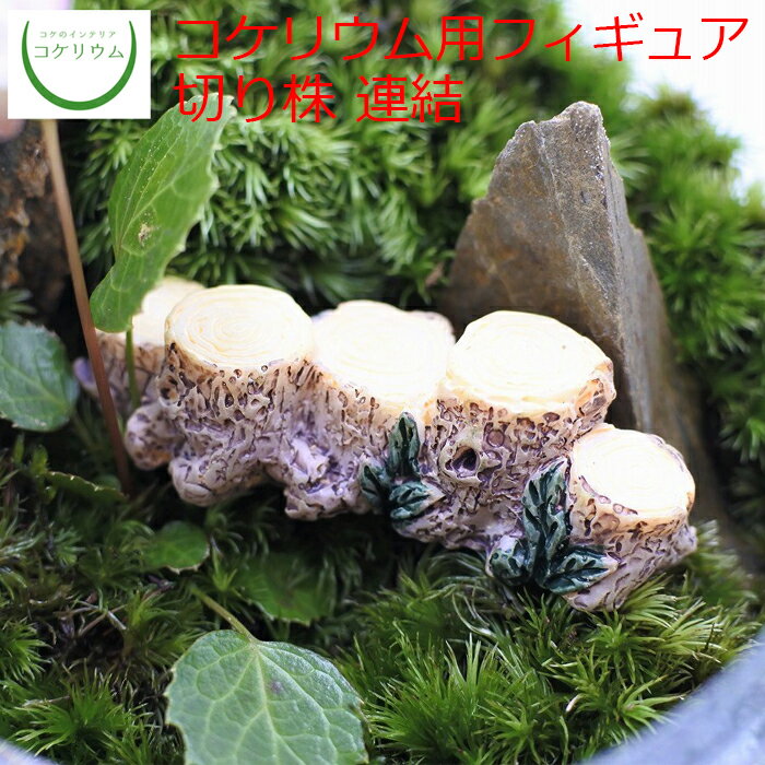 【観葉植物 おしゃれ ミニ テラリウム フィギュア ミニ観葉 コケリウム 苔 コケ 苔テラリウム 苔リウム アクアリウム アクアテラリウム 園芸 ハイドロカルチャー ガーデニング グリーン インテリア 緑 苔盆栽 癒し 初心者】 コケリウムフィギュア 切り株 連結