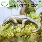 【観葉植物 おしゃれ ミニ テラリウム フィギュア ミニ観葉 コケリウム 苔 コケ 苔テラリウム 苔リウム アクアリウム アクアテラリウム 園芸 ハイドロカルチャー ガーデニング グリーン インテリア 緑 苔盆栽 癒し moss 初心者】 コケリウムフィギュア コモドオオトカゲ