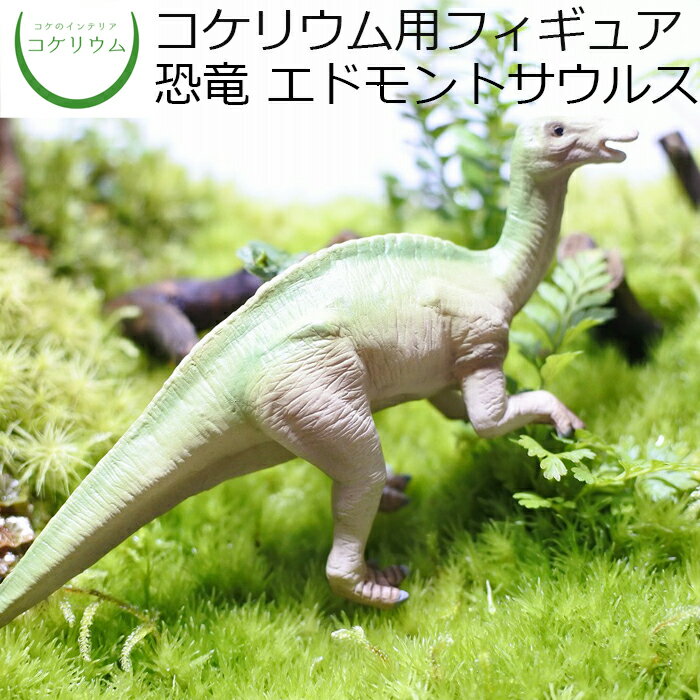 【観葉植物 おしゃれ ミニ テラリウム フィギュ...の商品画像