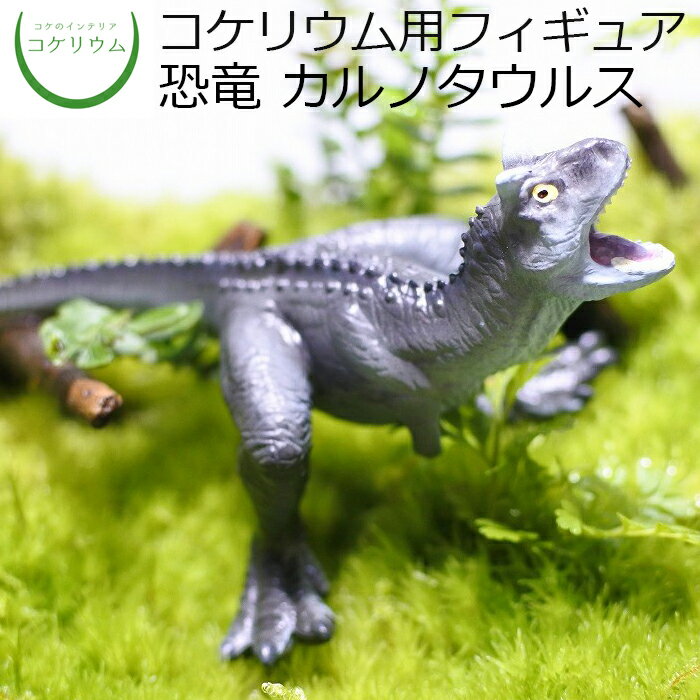  コケリウムフィギュア 恐竜 カルノタウルス