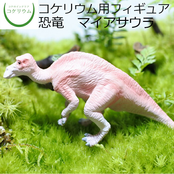  コケリウムフィギュア 恐竜 マイアサウラ