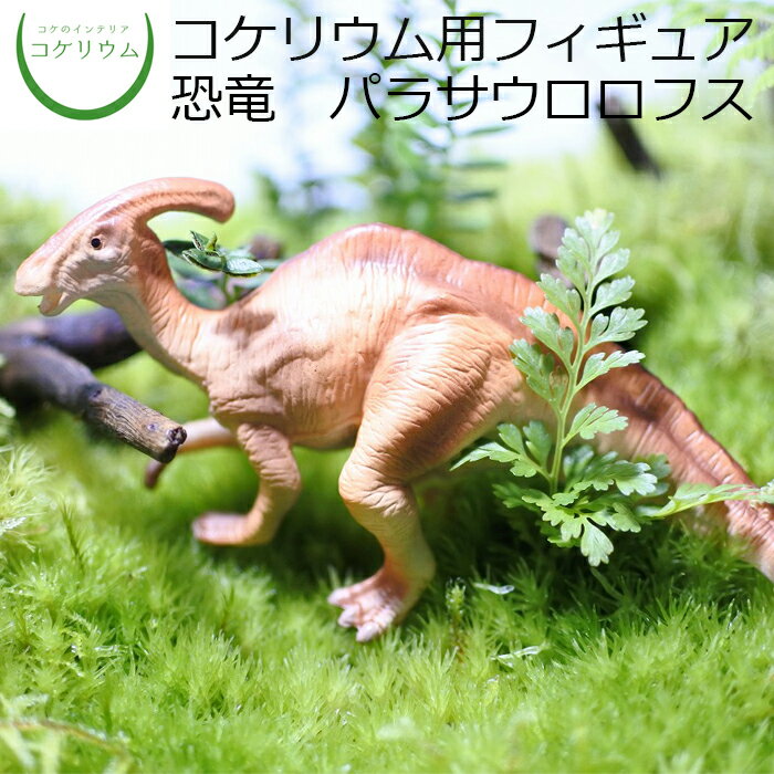 【観葉植物 おしゃれ ミニ テラリウム フィギュア ミニ観葉 コケリウム 苔 コケ 苔テラリウム 苔リウム アクアリウム アクアテラリウム 園芸 ハイドロカルチャー ガーデニング グリーン インテリア 緑 苔盆栽 癒し 初心者】 コケリウムフィギュア 恐竜 パラサウロロフス