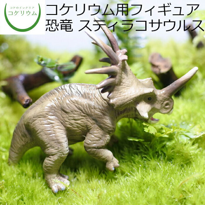 【観葉植物 おしゃれ ミニ テラリウム フィギュア ミニ観葉 コケリウム 苔 コケ 苔テラリウム 苔リウム アクアリウム アクアテラリウム 園芸 ハイドロカルチャー ガーデニング グリーン インテリア 緑 苔盆栽 癒し 初心者】 コケリウムフィギュア 恐竜 スティラコサウルス