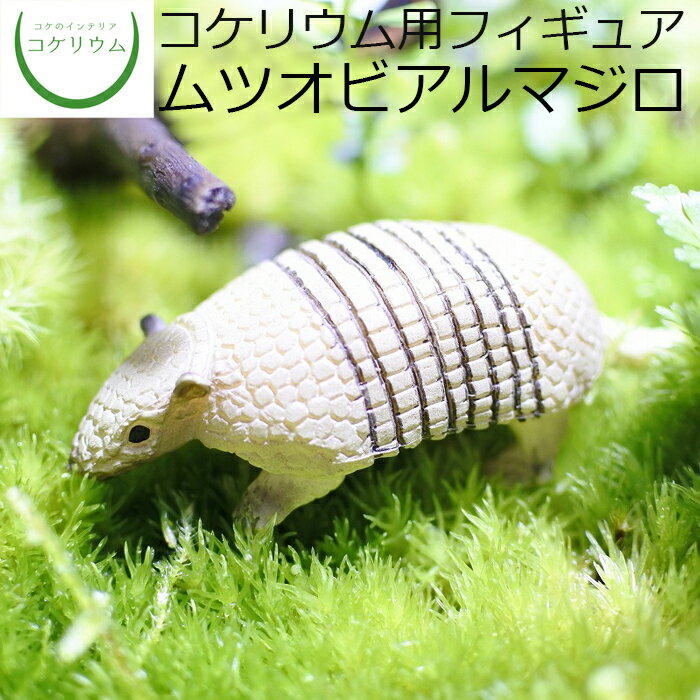 【観葉植物 おしゃれ ミニ テラリウム フィギュア ミニ観葉 コケリウム 苔 コケ 苔テラリウム 苔リウム アクアリウム アクアテラリウム 園芸 ハイドロカルチャー ガーデニング グリーン インテリア 緑 苔盆栽 癒し moss 初心者】 コケリウムフィギュア ムツオビアルマジロ