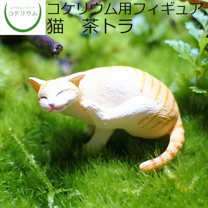 【観葉植物 おしゃれ ミニ テラリウム フィギュア ミニ観葉 コケリウム 苔 コケ 苔テラリウム 苔リウム..