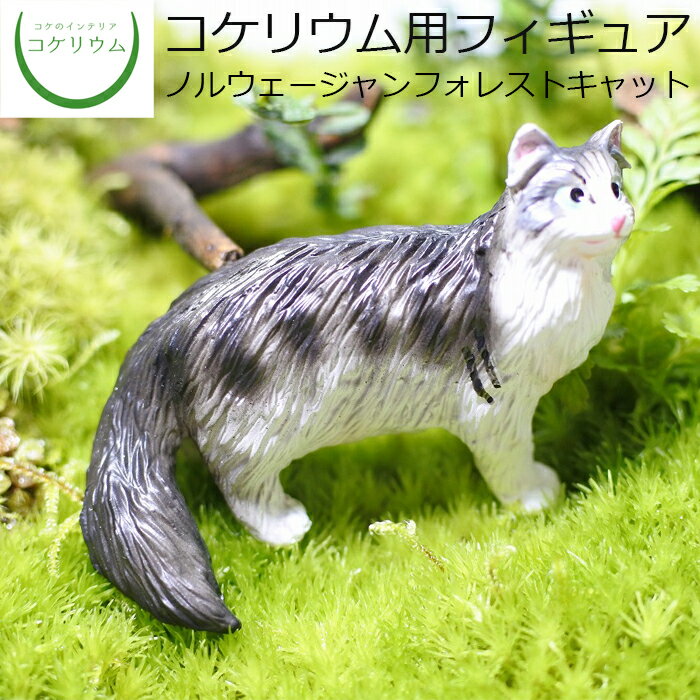【観葉植物 おしゃれ ミニ テラリウム フィギュア ミニ観葉 コケリウム 苔 コケ 苔テラリウム 苔リウム..