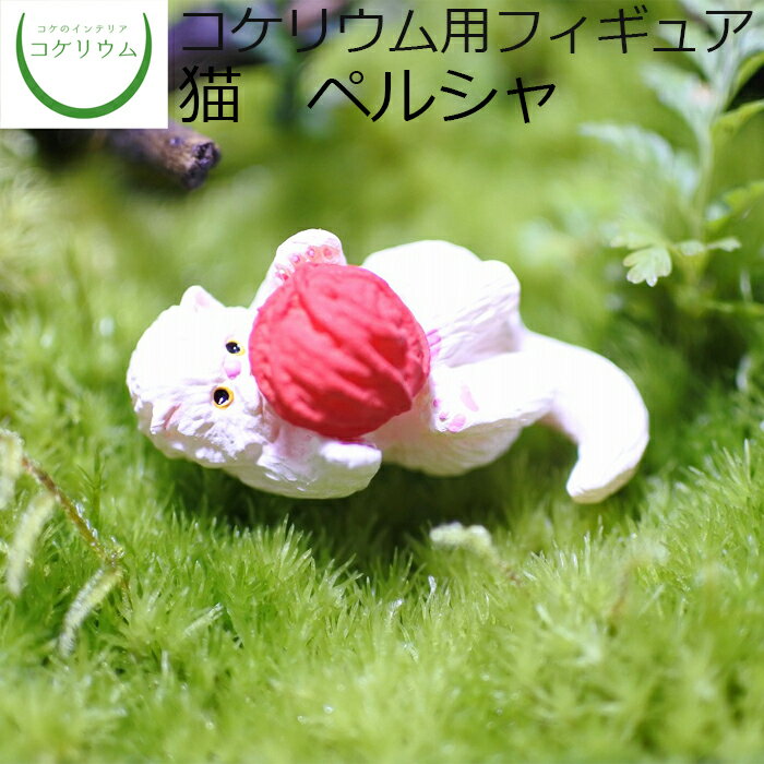 【観葉植物 おしゃれ ミニ テラリウム フィギュア ミニ観葉 コケリウム 苔 コケ 苔テラリウム 苔リウム アクアリウム アクアテラリウム 園芸 ハイドロカルチャー ガーデニング グリーン インテリア 緑 苔盆栽 癒し 初心者】 コケリウムフィギュア 猫 ペルシャ