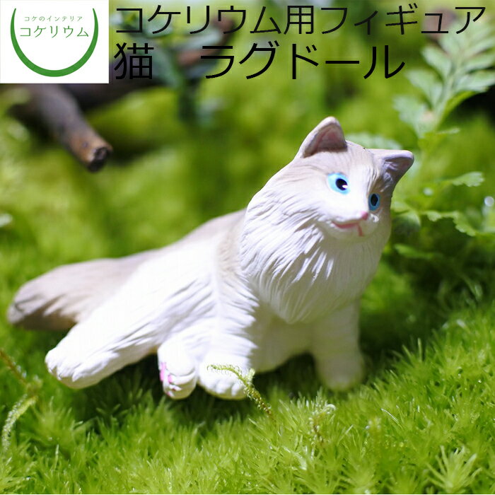 【観葉植物 おしゃれ ミニ テラリウム フィギュア ミニ観葉 コケリウム 苔 コケ 苔テラリウム 苔リウム アクアリウム アクアテラリウム 園芸 ハイドロカルチャー ガーデニング グリーン インテリア 緑 苔盆栽 癒し 初心者】 コケリウムフィギュア 猫 ラグドール