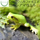  コケリウムフィギュア ニホンアマガエル