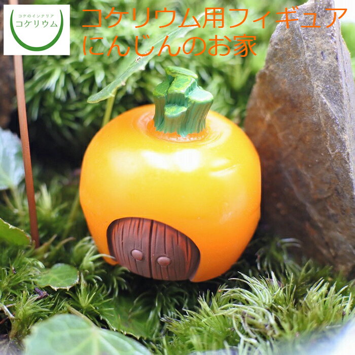 【観葉植物 おしゃれ ミニ テラリウム フィギュア ミニ観葉 コケリウム 苔 コケ 苔テラリウム 苔リウム アクアリウム アクアテラリウム 園芸 ハイドロカルチャー ガーデニング グリーン インテリア 緑 苔盆栽 癒し moss 初心者】 コケリウムフィギュア にんじんのお家